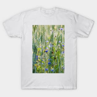 Cornflowers in a wheat field T-Shirt